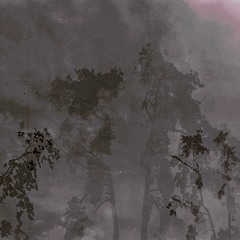 RHYTMIC LEAD  BRASS ART SYNTH M108