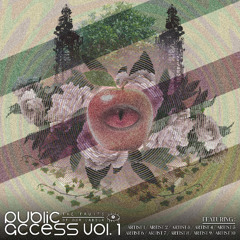Public Access Vol. 1