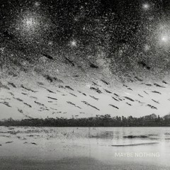 MAYBE NOTHING De Jeanne Debarsy