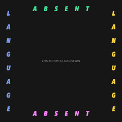 collection 3 // august 2025