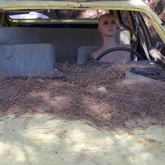 The Ballad of Lenny Mann