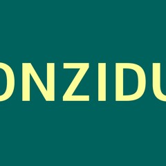 CONZIDUB