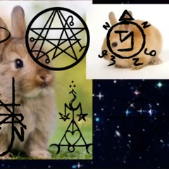 bunny bunny bunny (prod. slopilled) 𖤐