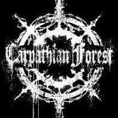 Carpathian Forest