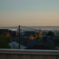 Oslo - from "Eit år med tekstmeldinger"