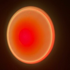 all the perfect others