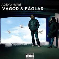 aden x asme para