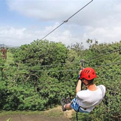 Review Special Price Puerto Rico Ziplining Highflying Adventure Close To San Juan