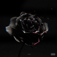 SAMBH | The PropehC x DXNNY | SENTI SZN III