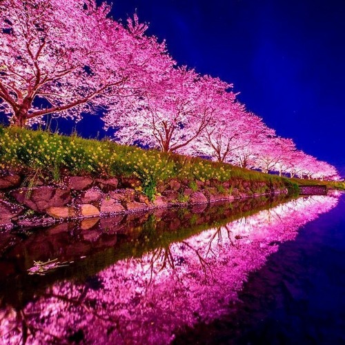 Stream loop de fundo game background +FREE DOWNLOAD+ by Bbass Music ...