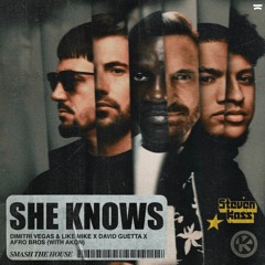 Dimitri Vegas & Like Mike, David Guetta, Afro Bros - She Knows (Steven Kass Medellin Mix) #EDM