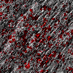 audiostock_1010110110111011111110010111010011001011101101