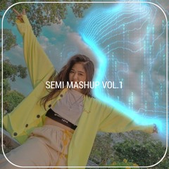 SEMI MASHUP, Vol. 1