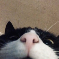 wag kang mag-expect cover