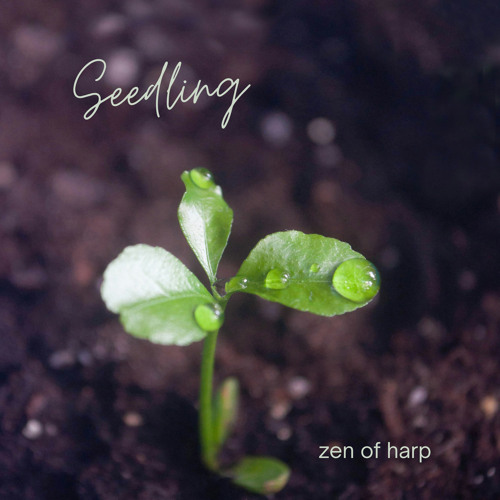 Seedling