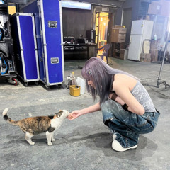 kitty