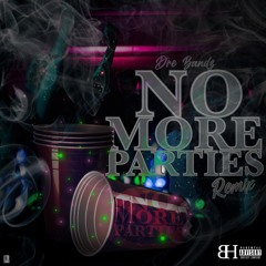 NO MORE PARTIES (BRUVMIX)