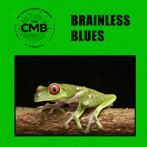 Brainless Blues