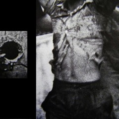 BODY/SPLITTER