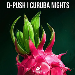 Curuba Nights