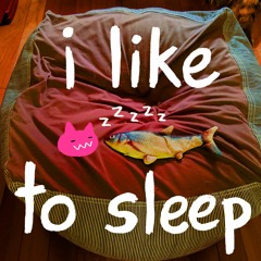i like to sleep