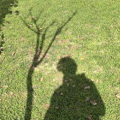 سورة الكهف الشيخ عبد العزيز الراجحي