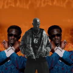 Dmx x Wande coal - What Ebelebe Wants (Feelfancy Edit)