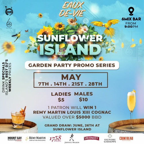 EAUX DE-VIE PROMO @ 6 MIX BAR (RAW)