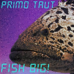 Primo Taut - Fish Big !