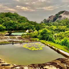 "දීඝායූ" රතන සූත්‍රය හත් වරක් සමඟ මෛත්‍රී සජ්ඣායනා