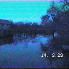 TARIMANE - IN THA MUD