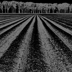 Black Earth (naviarhaiku438)