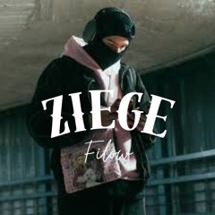 Filow - Ziege