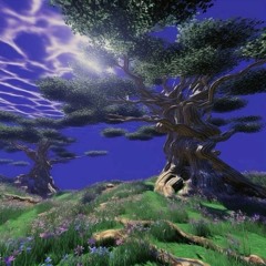 FOREST INTERLUDE
