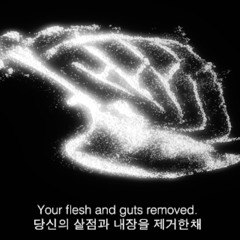 I Aplolgise to the Birds