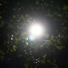 It's Not Singing just making noise