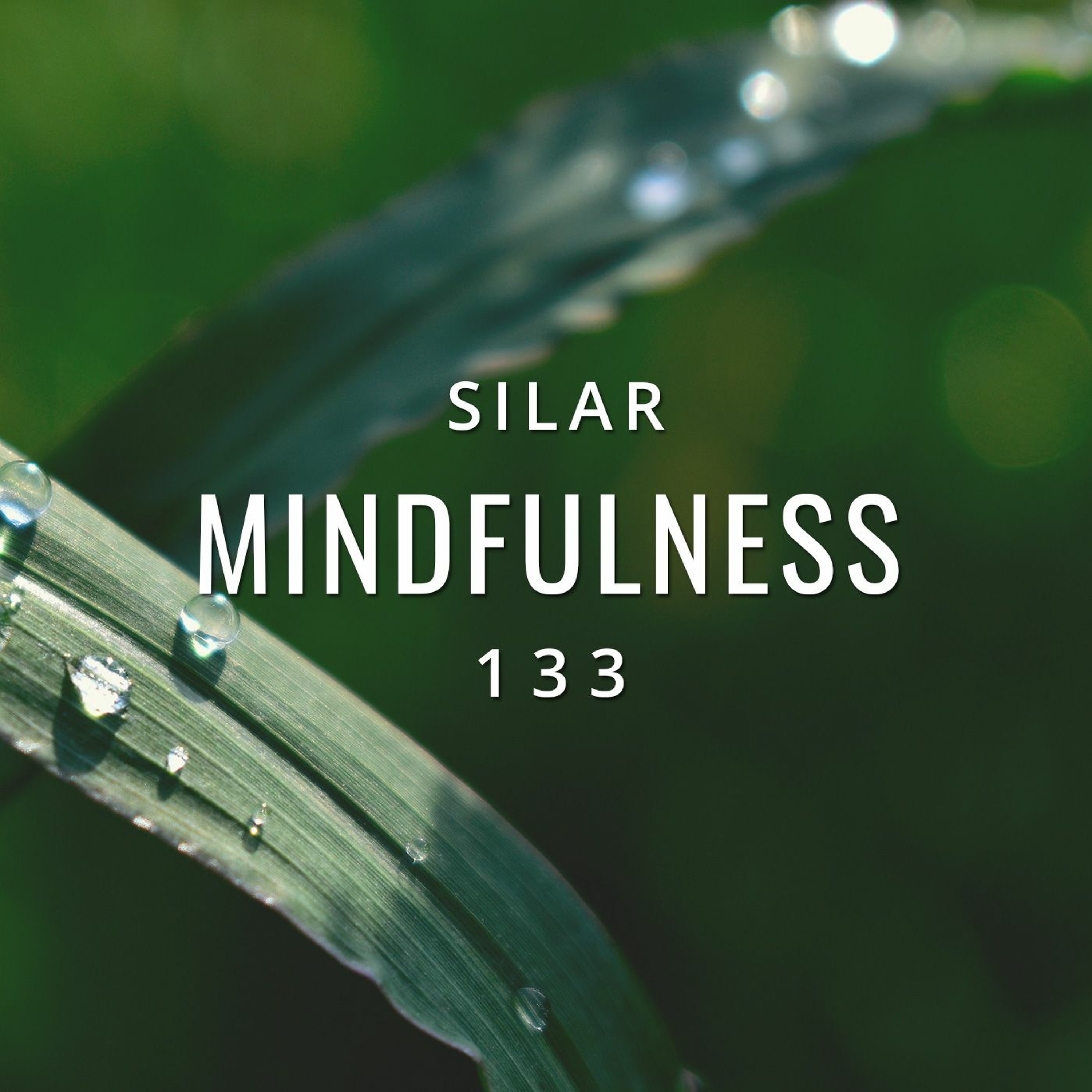 Mindfulness