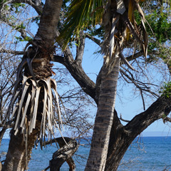 [undefeated] the king of kings