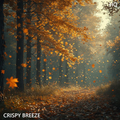 Crispy Breeze - Golden Beats LP