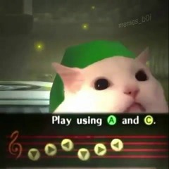 SARIA'S SONG / LOST WOODS / OCARINA OF TIME