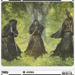 Valley Radio 040 - ANIMA