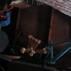 Thee Hells Angel 3663 - Fucker Fuckee 2026-01-08 19_16.m4a