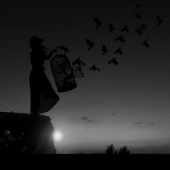 شادمهر عقیلی  یه قفس Slowed&Reverb
