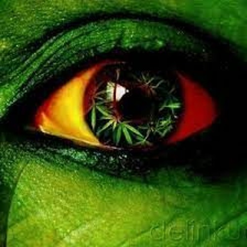 WELCOME IN TO MY JUNGLE