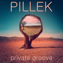 Pillek - Private Groove