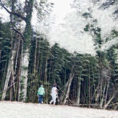 Over the Garden Wall (feat. Prosper)