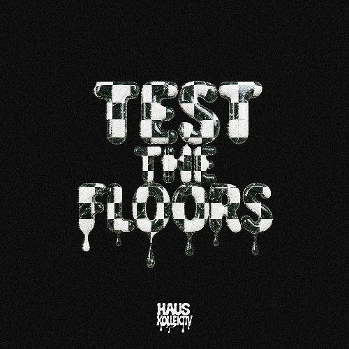 Artwork for the song HAUS kollektiv - Test the Floors by HAUS kollektiv on Next Sound
