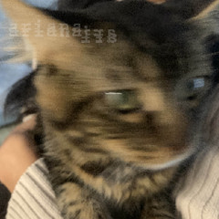 You called me your girl (July DEMO 25)