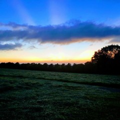 Rave at sunrise