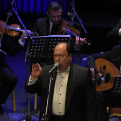 شفت حبيبي - فؤاد زبادي (رائعة عبد المطلب) High-quality